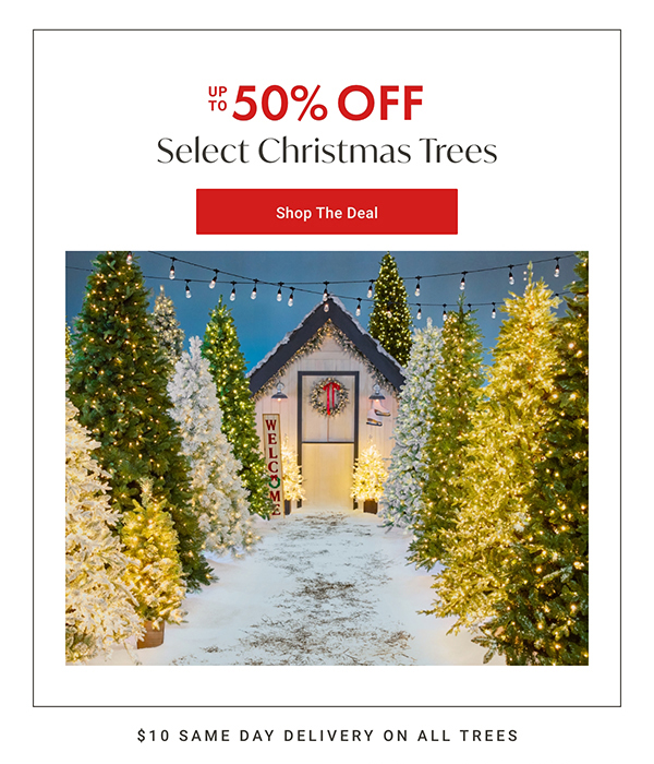 Up to 50% Off Select Christmas Trees | Shop the Deal >