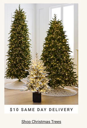 Shop Christmas Trees