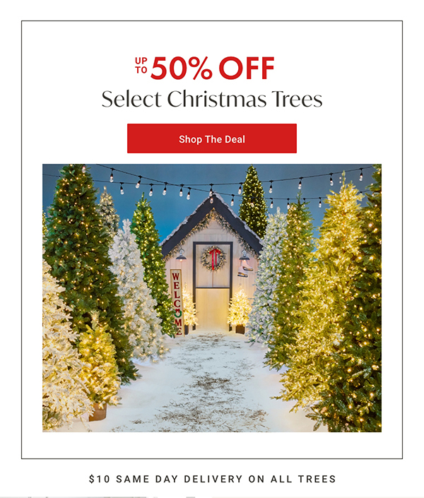 Up to 50% Off Select Christmas Trees | Shop the Deal >