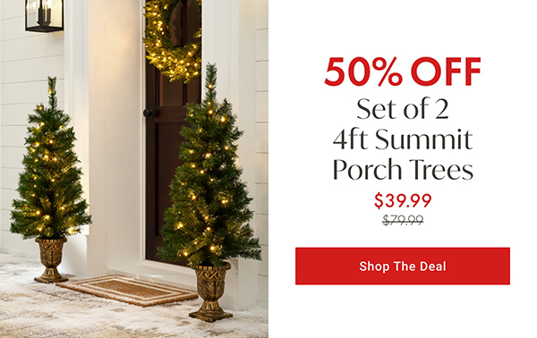 50% Off Set of 2 4ft Summit Porch Trees | Shop the Deal >