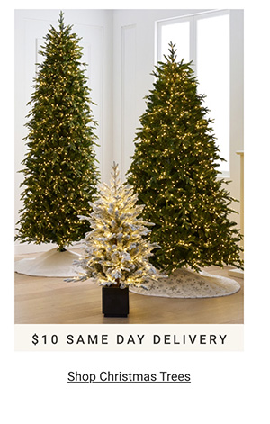Shop Christmas Trees