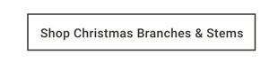 Shop Christmas Branches & Stems