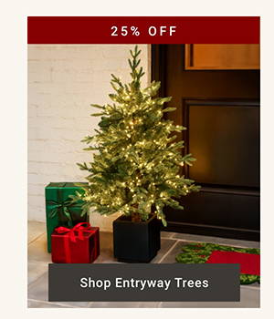 Shop Entryway Trees >