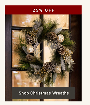Shop Christmas Wreaths >