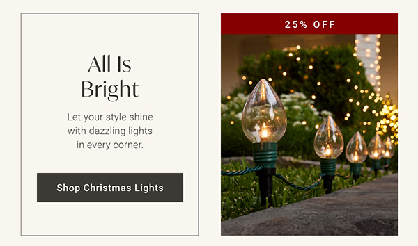 Shop Christmas Lights >