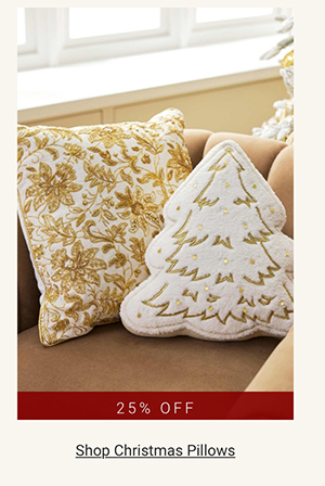 Shop Christmas Pillows >