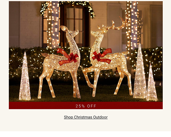 Shop Christmas Outdoor >