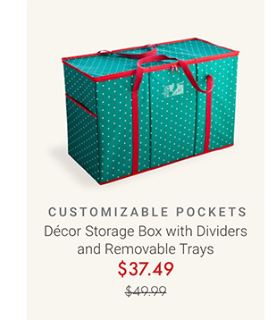 Decor Storage Box with Dividers and Removable Trays