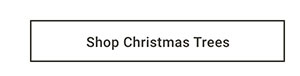 Shop Christmas Trees
