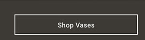 Shop Vases