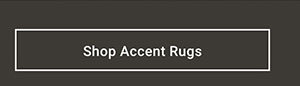 Shop Accent Rugs