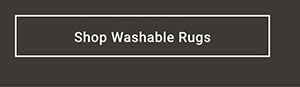 Shop Washable Rugs