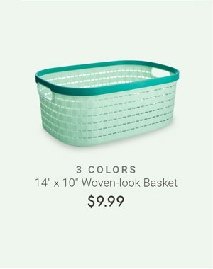 14" x 10" Mesh Basket