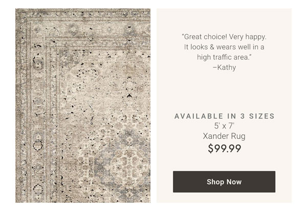5' x 7' Rug - Shop Now