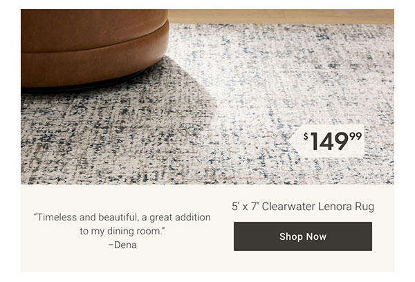 5' x 7' Clearwater Lenora Rug - Shop Now