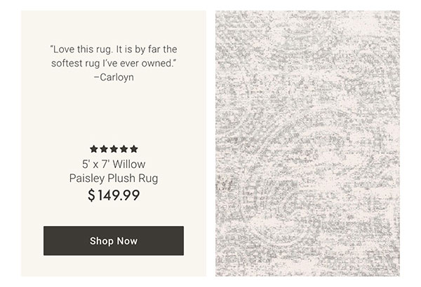 5' x 7' Willow Paisley Plush Rug - Shop Now
