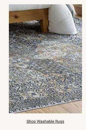 Shop Washable Rugs Category
