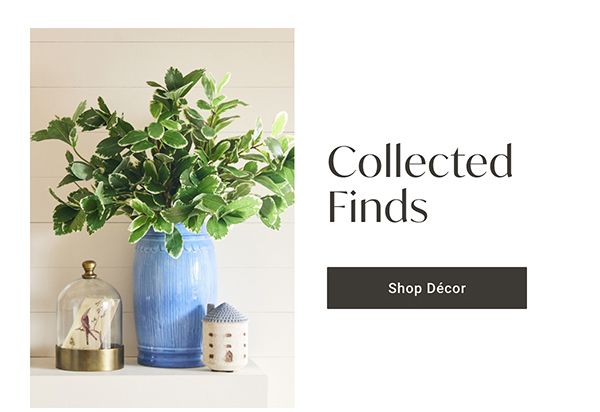 Collected Finds | Shop Décor >