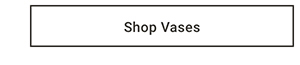 Shop Vases >