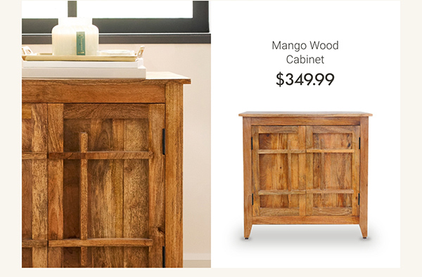 Mango Wood Cabinet