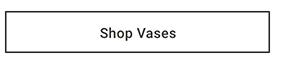 Shop Vases >