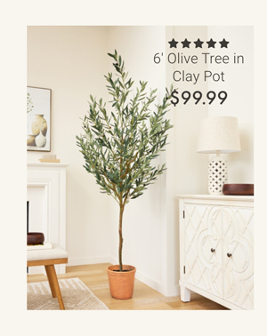 6' Olive Tree in Clay Pot