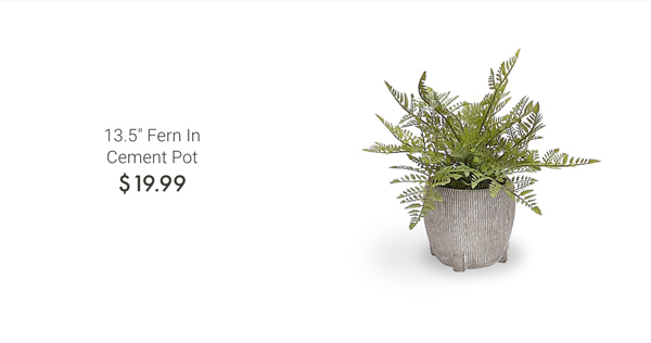 13.5" Fern In Cement Pot