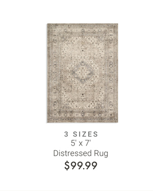 5' x 7' Distressed Rug