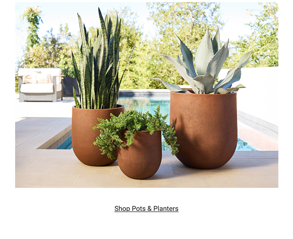 Shop Pots & Planters >