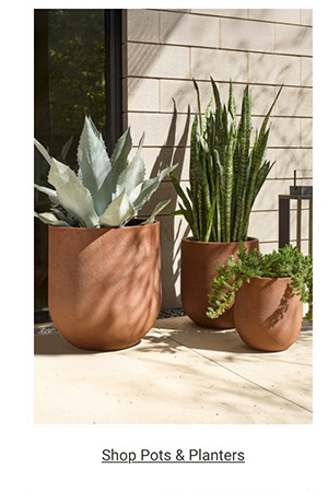 Shop Pots & Planters