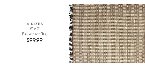 5' 7' Flatweave Rug