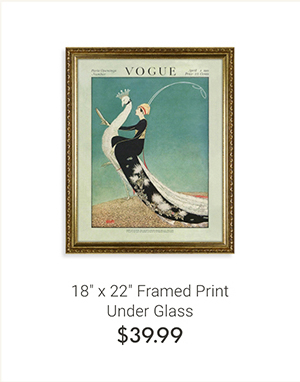 18" x 22" Framed Print Under Glass