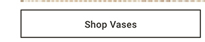 Shop Vases >