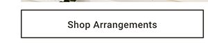 Shop Arrangements >