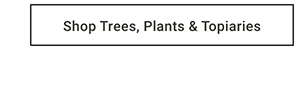 Shop Trees, Plants & Topiaries >