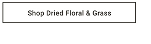 Shop Dried Floral & Grass >