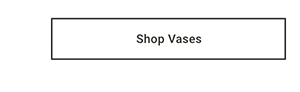 Shop Vases >