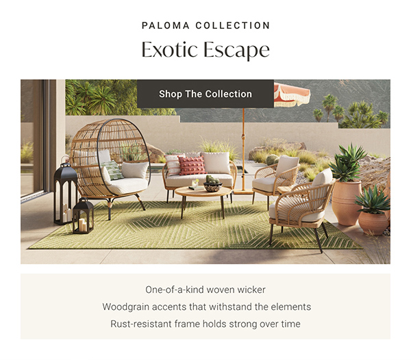 Paloma Collection: Exotic Escape - Shop The Collection
