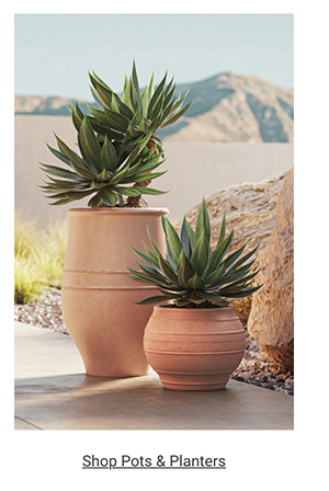 Shop Pots & Planters