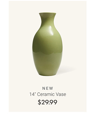 14" Ceramic Vase