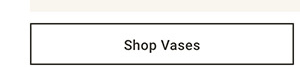 Shop Vases >