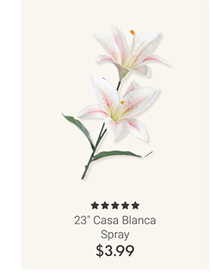 23" Casa Blanca Spray