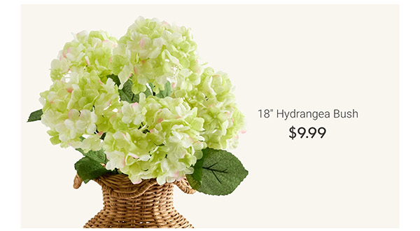 18" Hydrangea Bush