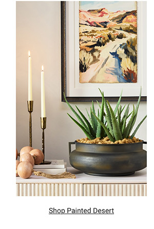 Shop Painted Desert >