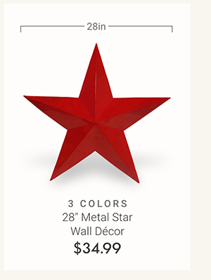 28" Metal Star Wall Decor