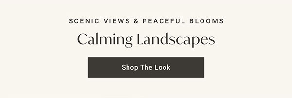 Calming Landscapes | Shop the Look >