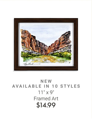 11" x 9" Framed Art