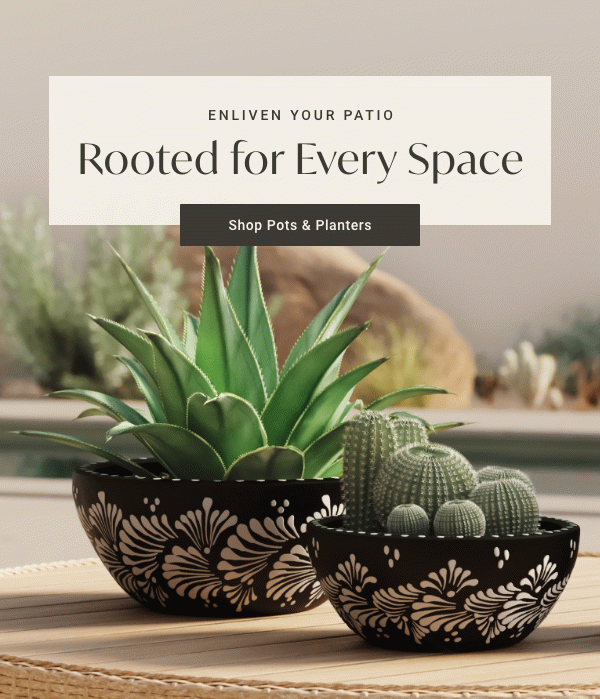 Enliven Your Patio: Rooted for Every Space - Shop Pots & Planters