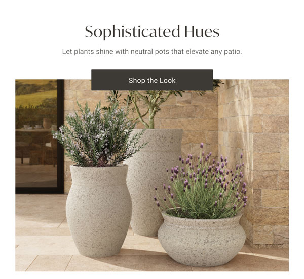 Sophisticated Hues - Shop The Look