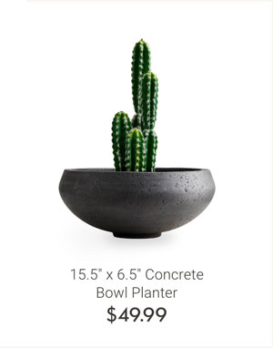 15.5" x 6.5" Concrete Bowl Planter